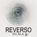 P.U.M.A. - Memories