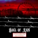 Soul of Rain - Прихована загроза (Original Mix)