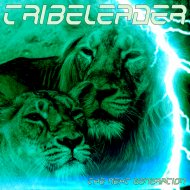 Tribeleader - THE NEXT GENERATION