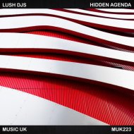 Lush Djs Feat. Gusolin - Relocate