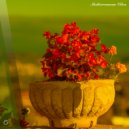 Vakanzregel - I Don't Care