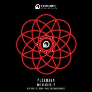 Pushmann - The Feather