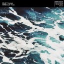 DMP Tunes - Without You