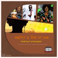 InQfive & Thab De Soul - Perfect Stranger