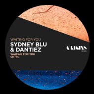Sydney Blu, Dantiez - Waiting For You