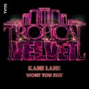 Kane Lane - Won't You Stay
