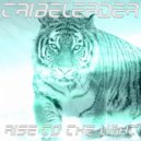 Tribeleader - RISE TO THE LIGHT (Original Mix)