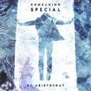 DJ Aristocrat - Something Special (Radio Mix)