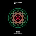 Wisna - Pulse (Original Mix)