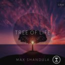 Max Shandula - Tree of Life (Original Mix)