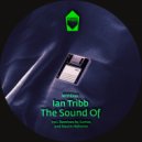 Ian tribb & Samos - I Feel You Go (Samos Remix)