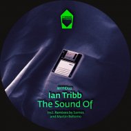 Ian tribb & Martin Bellomo - I Feel You Go