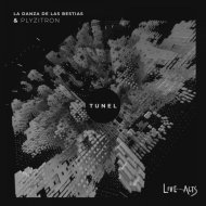 La Danza De Las Bestias & Plyzitron & Benjamin Riderelli - Tunel