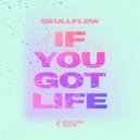 Skullflow - If You Got Life (Original Mix)