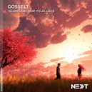Gosselt - Searching For Your Love