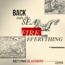 Redwing Blackbird - Fire Cleans Everything (Original Mix)