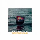 Paul Williz - Miracle (Original Mix)