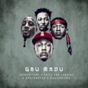 Fyve Shinobi & Pherowshuz & Terry tha Rapman & Maytronomy - Gbu Madu (feat. Pherowshuz, Terry tha Rapman & Maytronomy) (Original Mix)