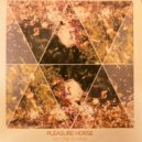 Pleasure Horse - On the Floor