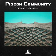 Pigeon Community - Inspector Ver Ivanovich