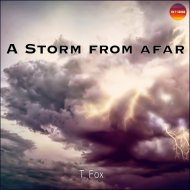 T. Fox - A clear but strange sky