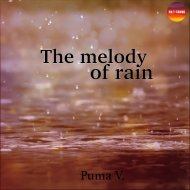 Puma V. - An unknown nocturnal noise