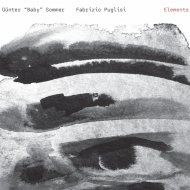 Günter Sommer & Fabrizio Puglisi - Passion Flower