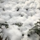 Jeongjeon - Colossal