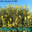 BRad From The Valley - Show Something To Me