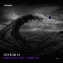 Sektor M - Order (Original Mix)