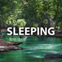 Daiversuon - Sleeping (Original Mix)