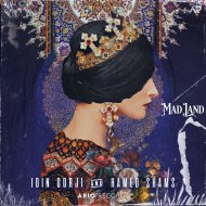 Idin Gorji & Hamed Shams - Mad Land