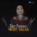 Sindy Purbawati - Medot Dalan (Keroncong Banyuwangi)