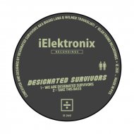DESIGNATED SURVIVORS - TAKE THIS BASS