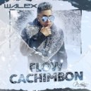 Walex Cotete - Puesto pal Dinero ()