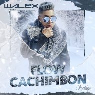 Walex Cotete - Bicha