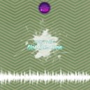 pSynik - Not This Time