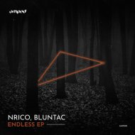 Nrico & Bluntac - Endless