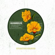 Lalo Angeles - We Are Everyday Robots