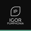 Igor Pumphonia - The Simulator (Dub)