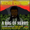 Richie Culture - Bag of Herb (Subtifuge Remix)