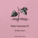 Muse Groove - Under Transicions (Original Mix)