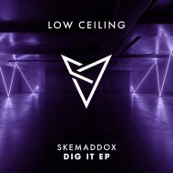 skemaddox - DIG IT