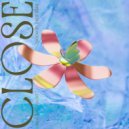 Knockout & Deep Harks - Close