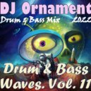 DJ Ornament - Drum & Bass Waves. Vol. 11 ()