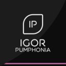 Igor Pumphonia - Ride Of Your Life