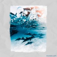 Ananda Jon - fresh start