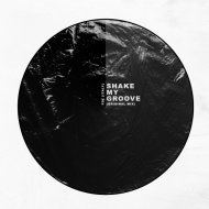 FDF (Italy) - Shake My Groove