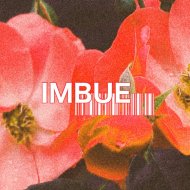 Imbue - Purple