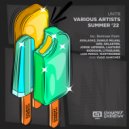 DZR - Shake That